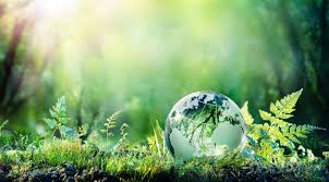 Sviluppo Sostenibile